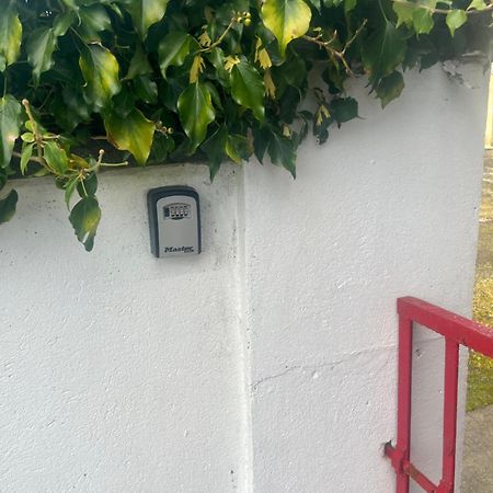 Entire Farmhouse In Tipperary Nenagh Exterior foto
